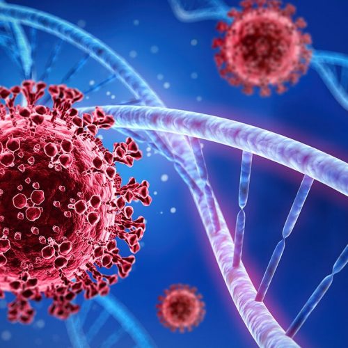 Tumkur District Nov-16 Covid-19 updates